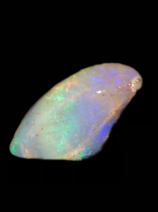 12.2ct Shell Specimen