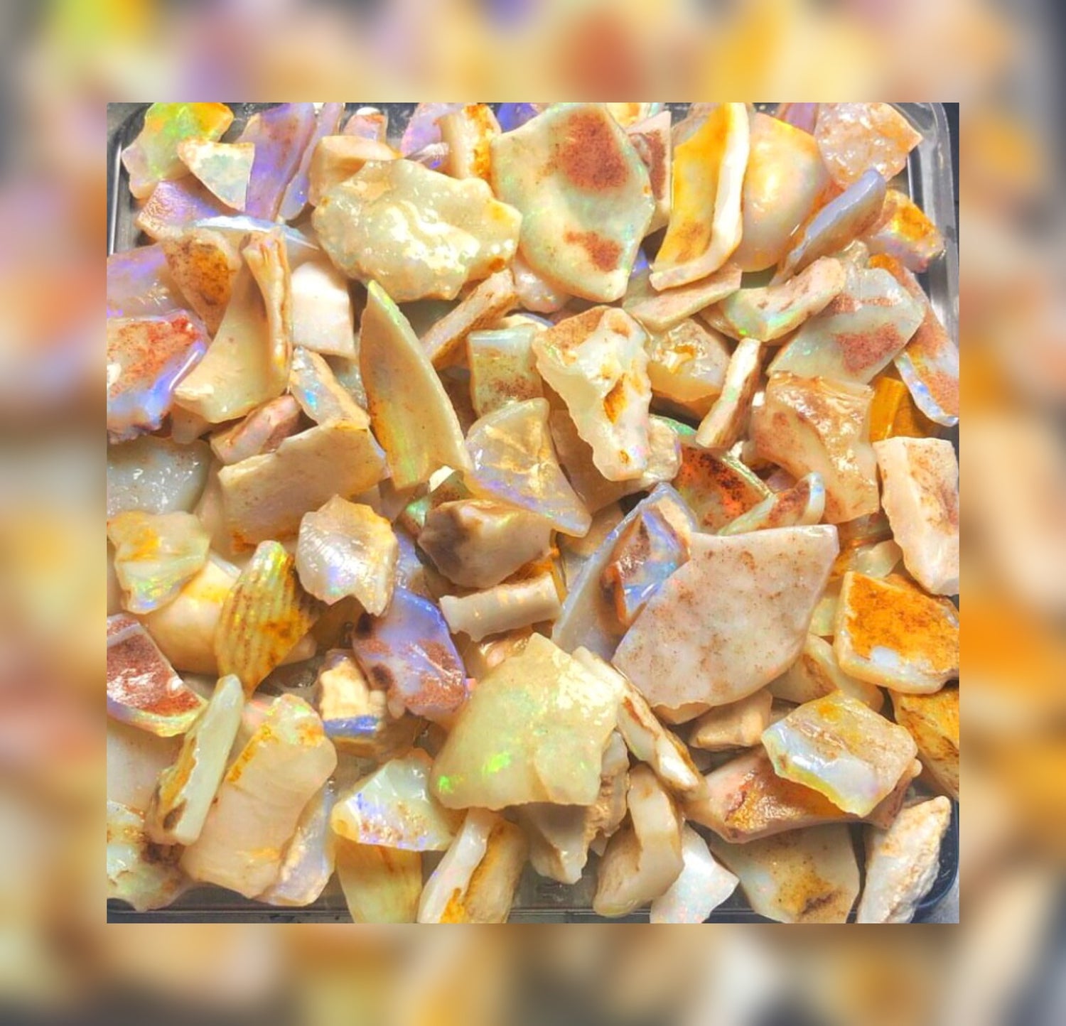Skin Shell Parcels