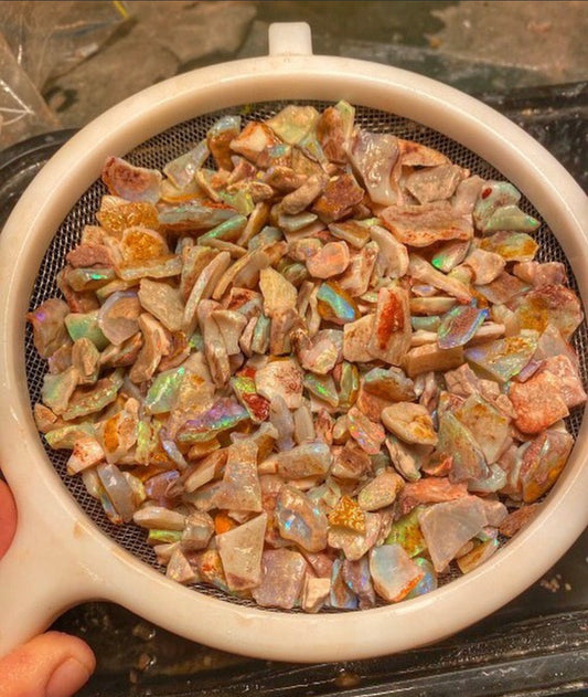 800ct Skin Shells
